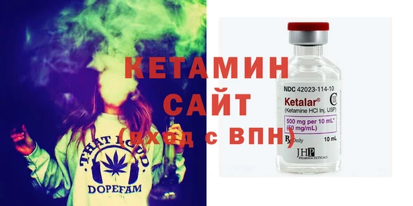 хмурый Аркадак