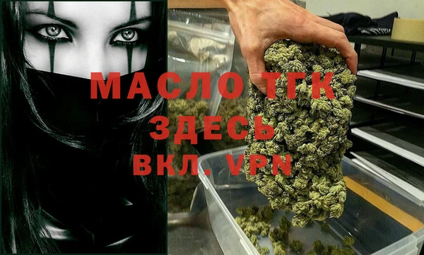 хмурый Аркадак