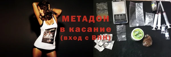 индика Алзамай
