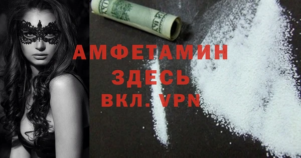 индика Алзамай
