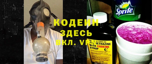 хмурый Аркадак