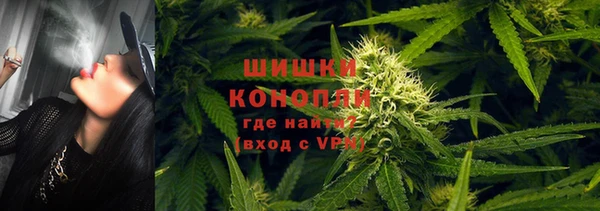 трава Армянск
