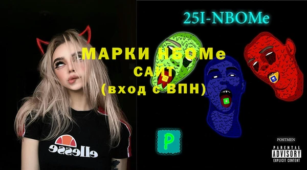 хмурый Аркадак