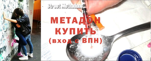 хмурый Аркадак